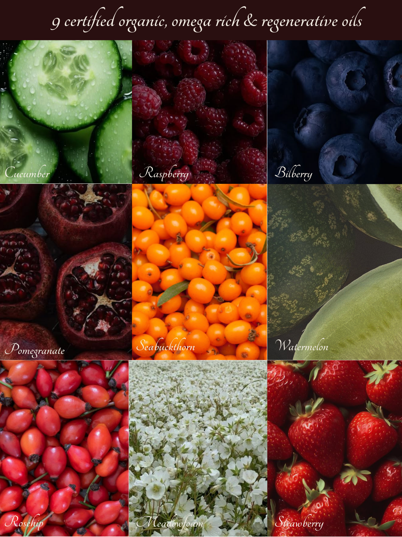 Antioxidant Barrier Oil